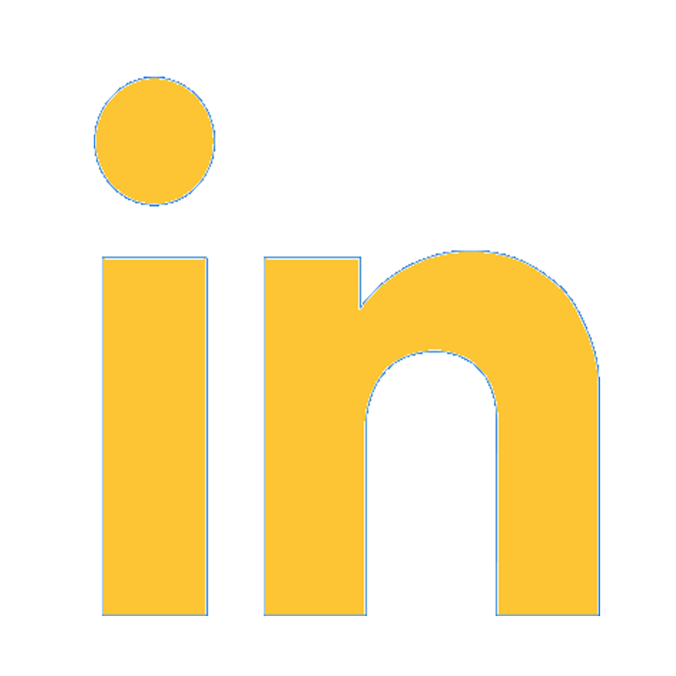 Logo LinkedIn pour site